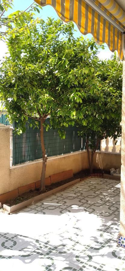 Apartement A La Mata Torrevieja Kültér fotó