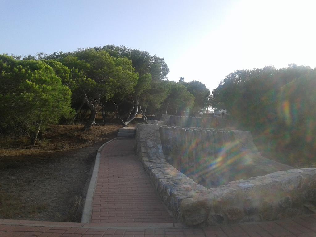 Apartement A La Mata Torrevieja Kültér fotó